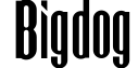 Bigdog