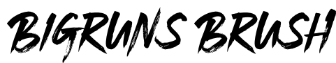 Bigruns Brush