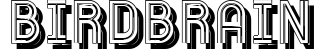 Birdbrain