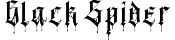 Black Spider