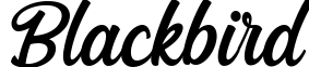 Blackbird