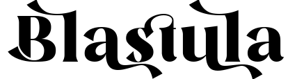 Blastula
