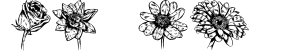 Blumen
