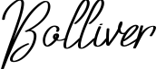 Bolliver