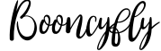 Booncyfly
