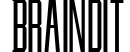 Braindit