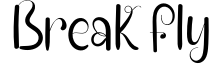 Break Fly