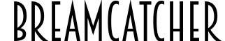 Breamcatcher