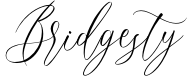 Bridgesty