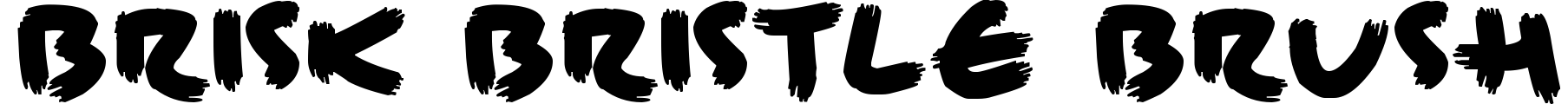 Brisk Bristle Brush