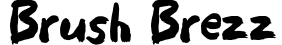 Brush Brezz