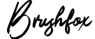 Brushfox