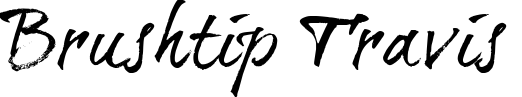 Brushtip Travis