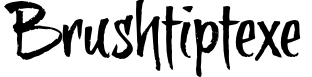 BrushtipTexe