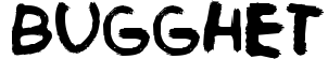 Bugghet