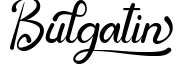 Bulgatin