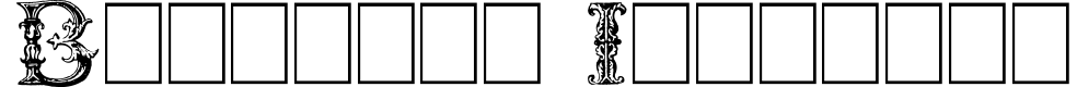 Burgoyne Initials