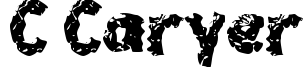 c Caryer