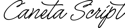 Caneta Script
