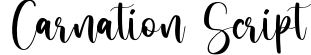 Carnation Script