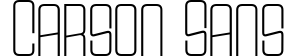 Carson Sans