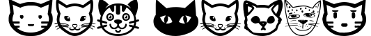 Cat Faces