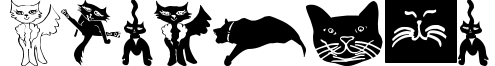 CatCrypt