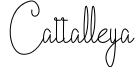 Cattalleya