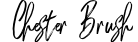 Chester Brush