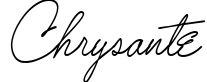 Chrysante