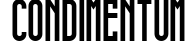 Condimentum