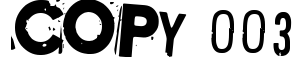 Copy 003