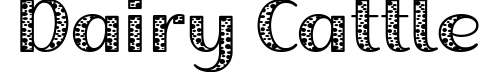 Dairy Cattle