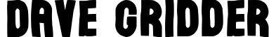 Dave Gridder