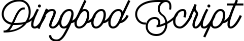 Dingbod Script