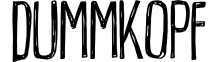 Dummkopf