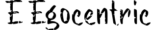 e Egocentric