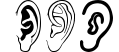 Ear