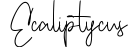Ecaliptycus