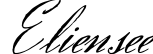 Eliensee
