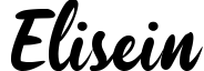 Elisein