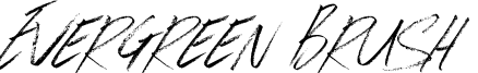 Evergreen Brush