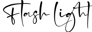 Flash Light