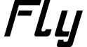 Fly