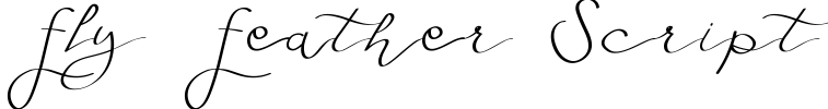 Fly Feather Script