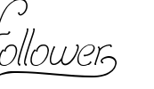 Follower