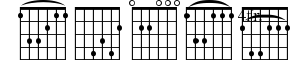 Frets