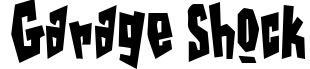 Garage Shock