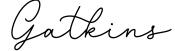 Gatkins
