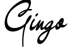 Gingo